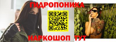 гидропоника Кунгур