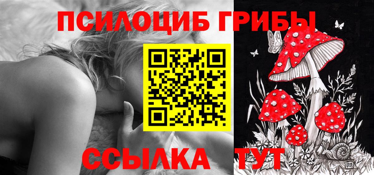 Зима  Псилоцибиновые грибы мухоморы  Вход с VPN  Псилоцибиновые грибы мицелий 